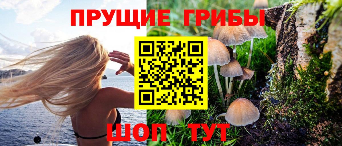 Псилоцибиновые грибы Cubensis Камышин