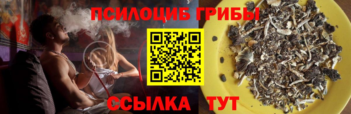Галлюциногенные грибы GOLDEN TEACHER  наркошоп  Камышин  Галлюциногенные грибы GOLDEN TEACHER  Вход с VPN 